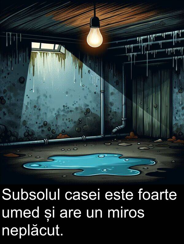 umed: Subsolul casei este foarte umed și are un miros neplăcut.