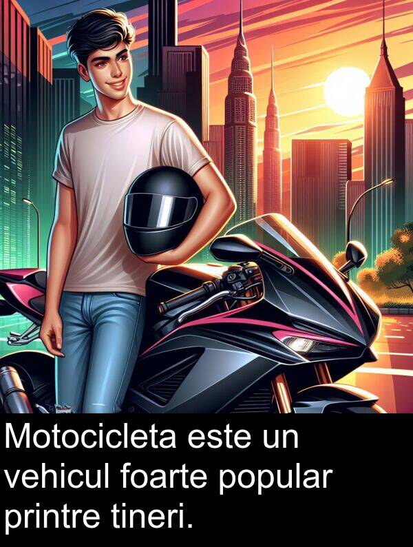 vehicul: Motocicleta este un vehicul foarte popular printre tineri.
