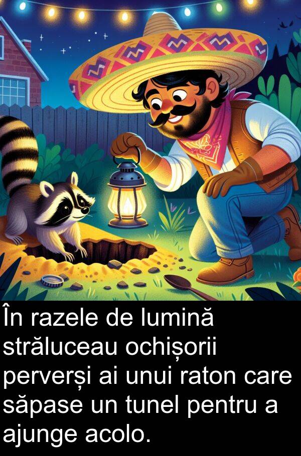 ochișorii: În razele de lumină străluceau ochișorii perverși ai unui raton care săpase un tunel pentru a ajunge acolo.