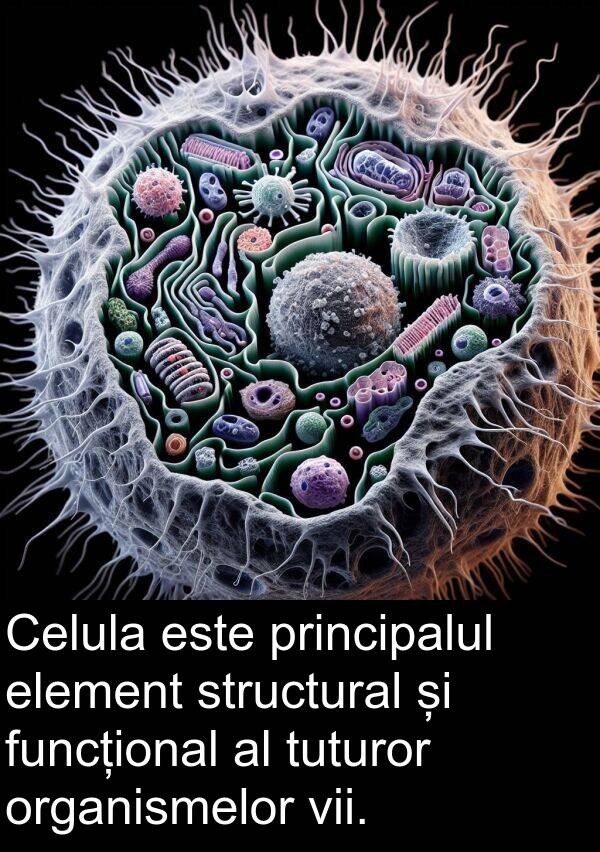 tuturor: Celula este principalul element structural și funcțional al tuturor organismelor vii.