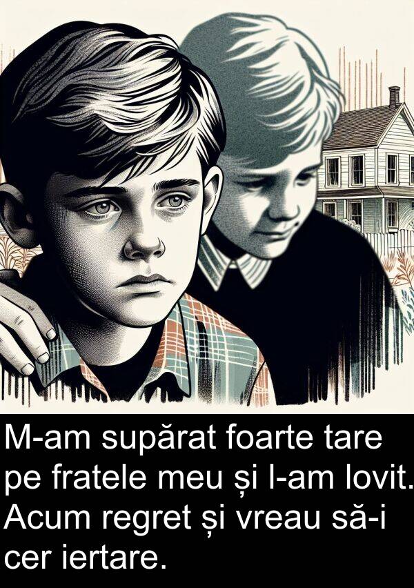 iertare: M-am supărat foarte tare pe fratele meu și l-am lovit. Acum regret și vreau să-i cer iertare.