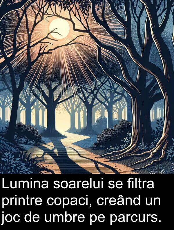 joc: Lumina soarelui se filtra printre copaci, creând un joc de umbre pe parcurs.