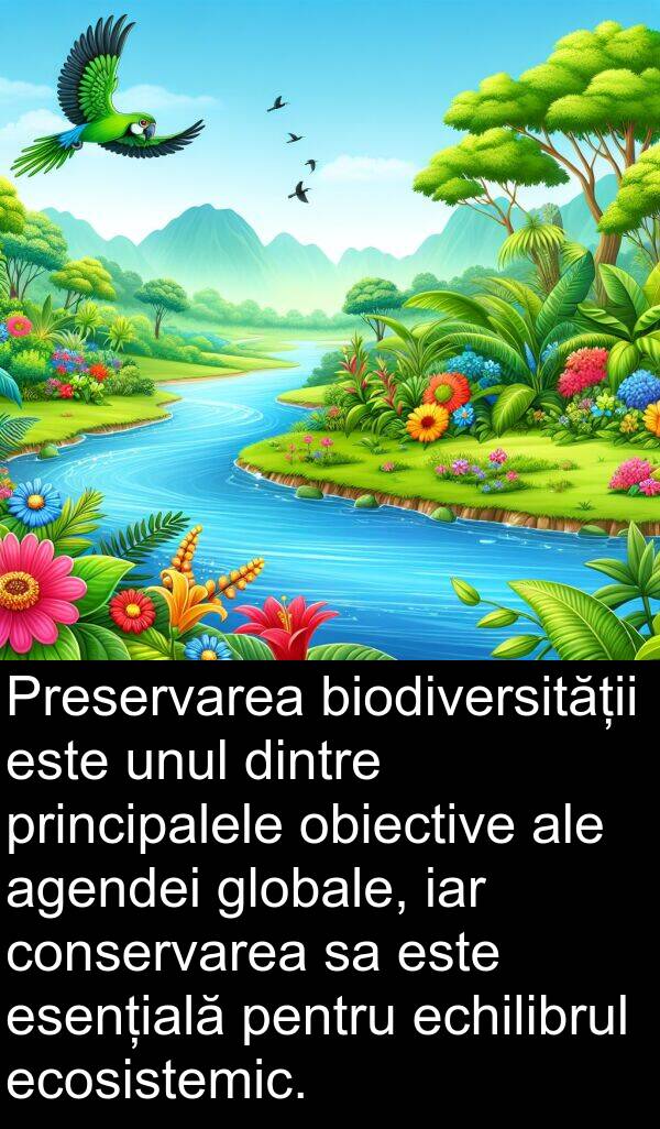 obiective: Preservarea biodiversității este unul dintre principalele obiective ale agendei globale, iar conservarea sa este esențială pentru echilibrul ecosistemic.