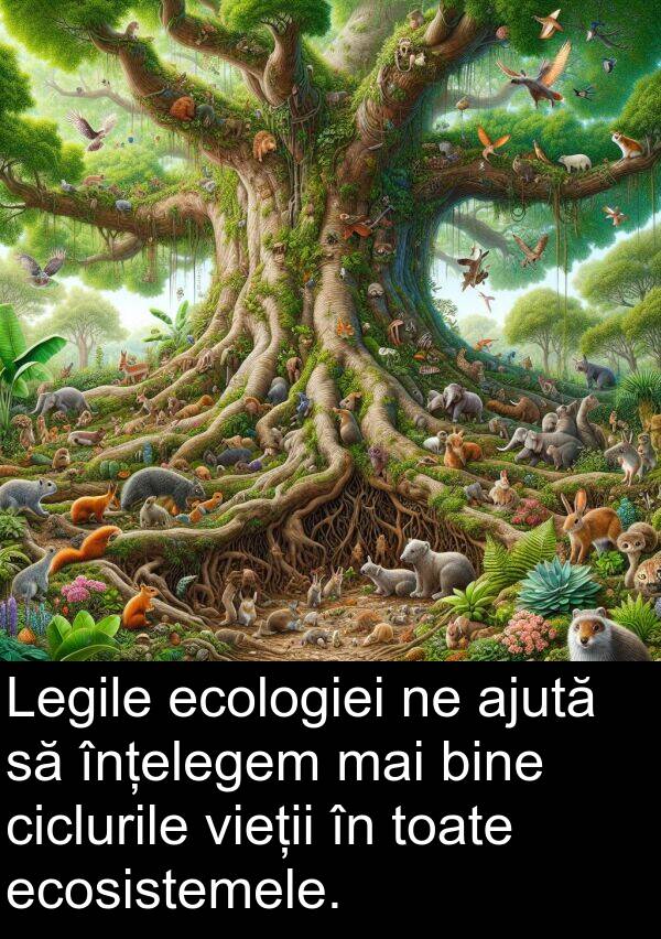 ecologiei: Legile ecologiei ne ajută să înțelegem mai bine ciclurile vieții în toate ecosistemele.