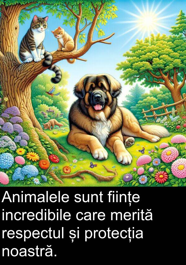 respectul: Animalele sunt ființe incredibile care merită respectul și protecția noastră.