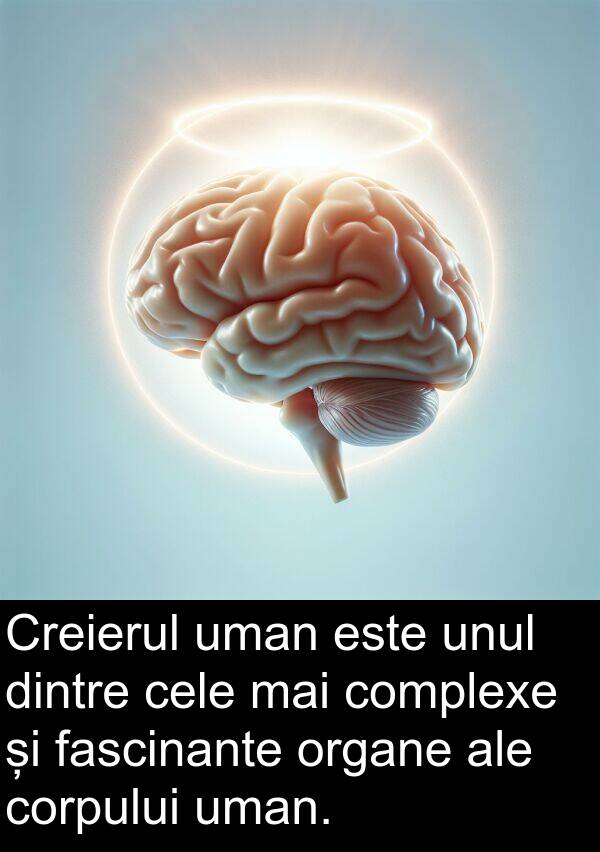 corpului: Creierul uman este unul dintre cele mai complexe și fascinante organe ale corpului uman.