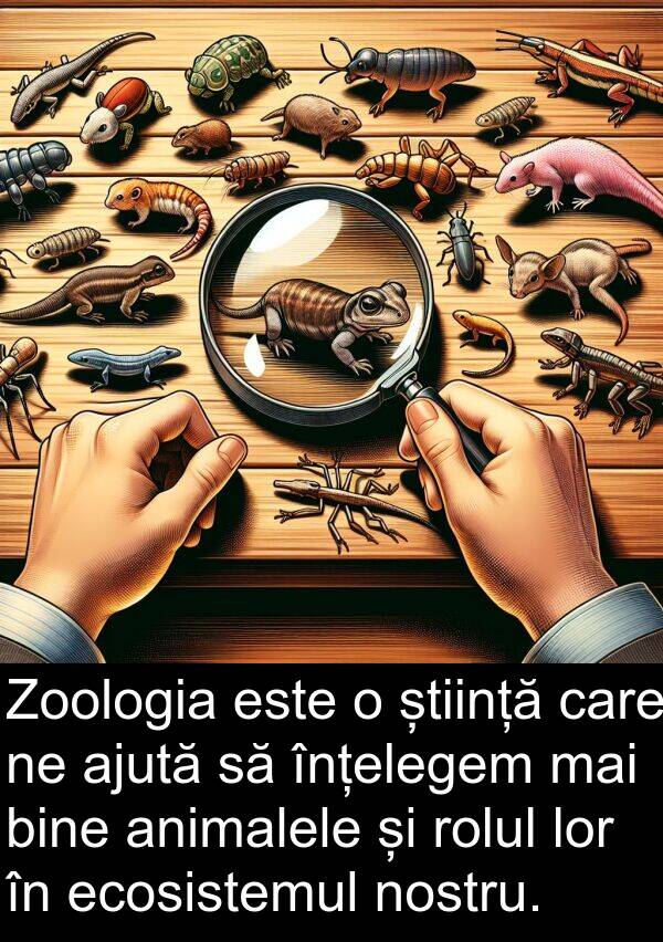 știință: Zoologia este o știință care ne ajută să înțelegem mai bine animalele și rolul lor în ecosistemul nostru.