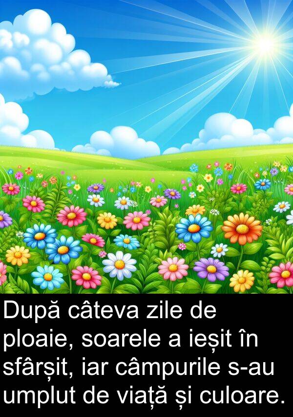 umplut: După câteva zile de ploaie, soarele a ieșit în sfârșit, iar câmpurile s-au umplut de viață și culoare.