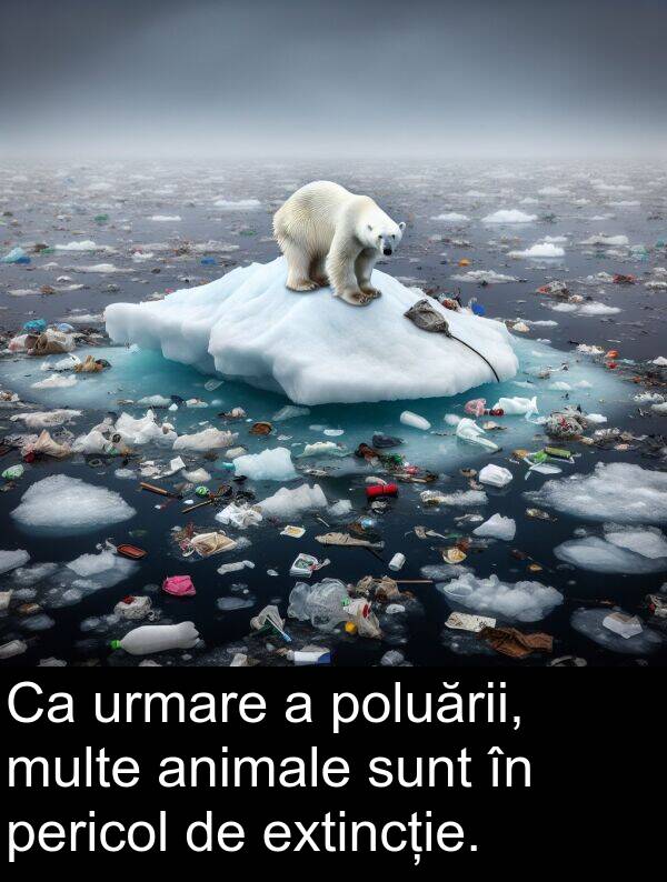 poluării: Ca urmare a poluării, multe animale sunt în pericol de extincție.