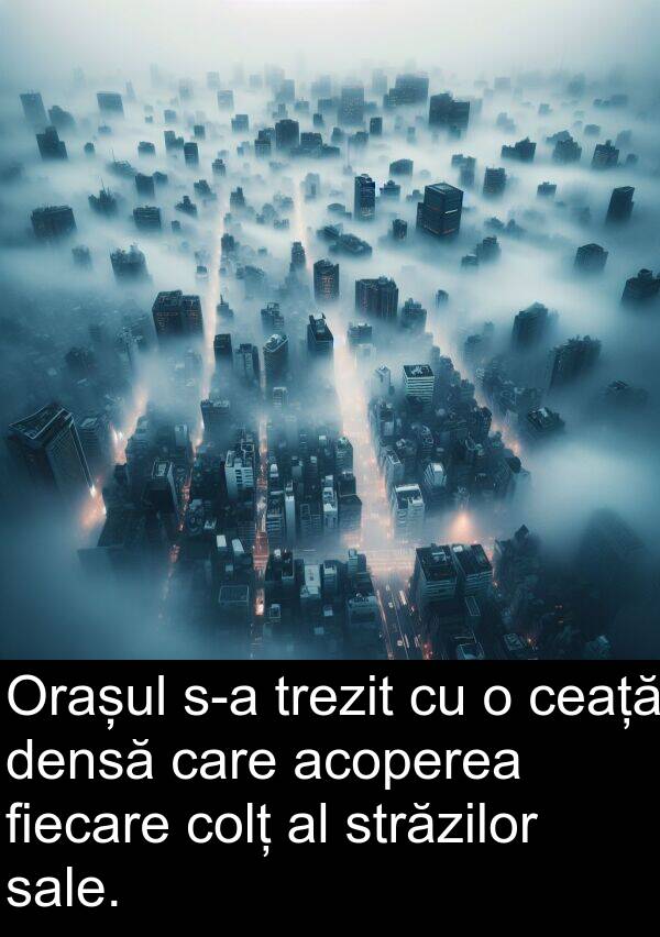 străzilor: Orașul s-a trezit cu o ceață densă care acoperea fiecare colț al străzilor sale.