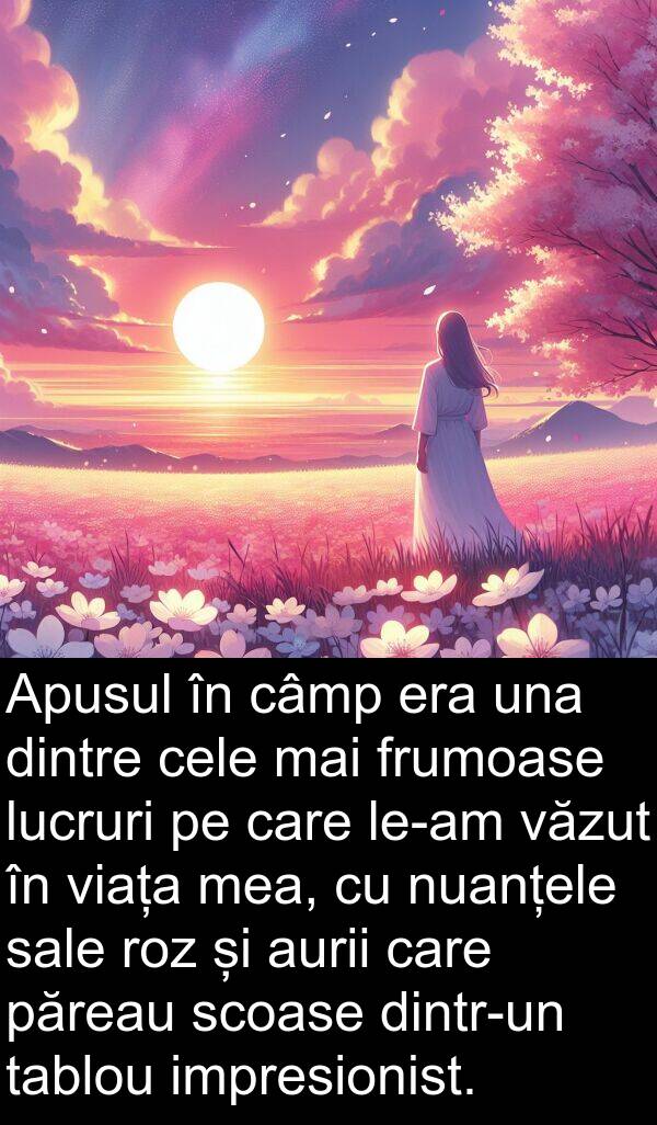 câmp: Apusul în câmp era una dintre cele mai frumoase lucruri pe care le-am văzut în viața mea, cu nuanțele sale roz și aurii care păreau scoase dintr-un tablou impresionist.