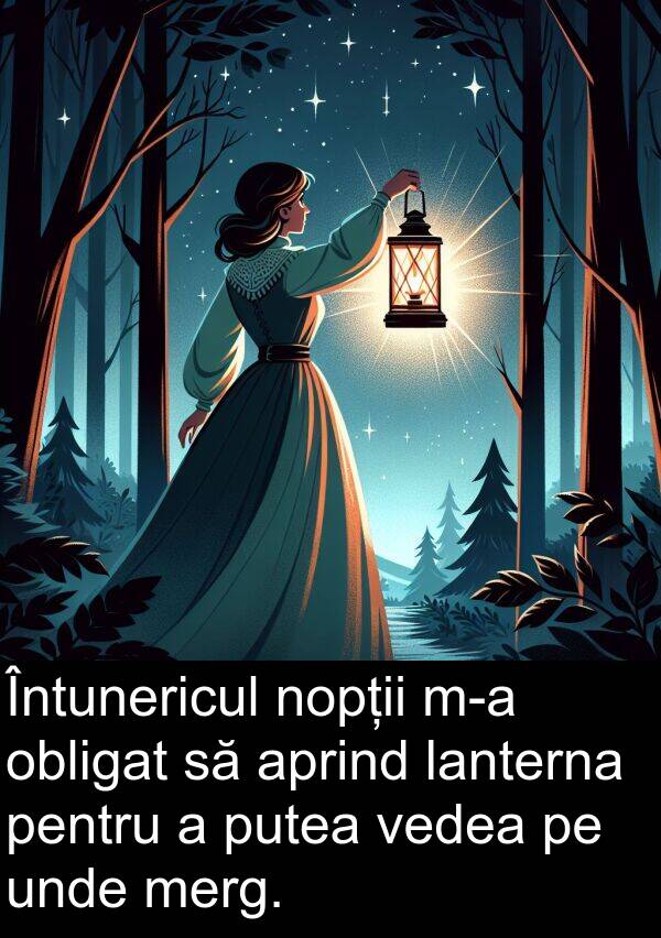obligat: Întunericul nopții m-a obligat să aprind lanterna pentru a putea vedea pe unde merg.