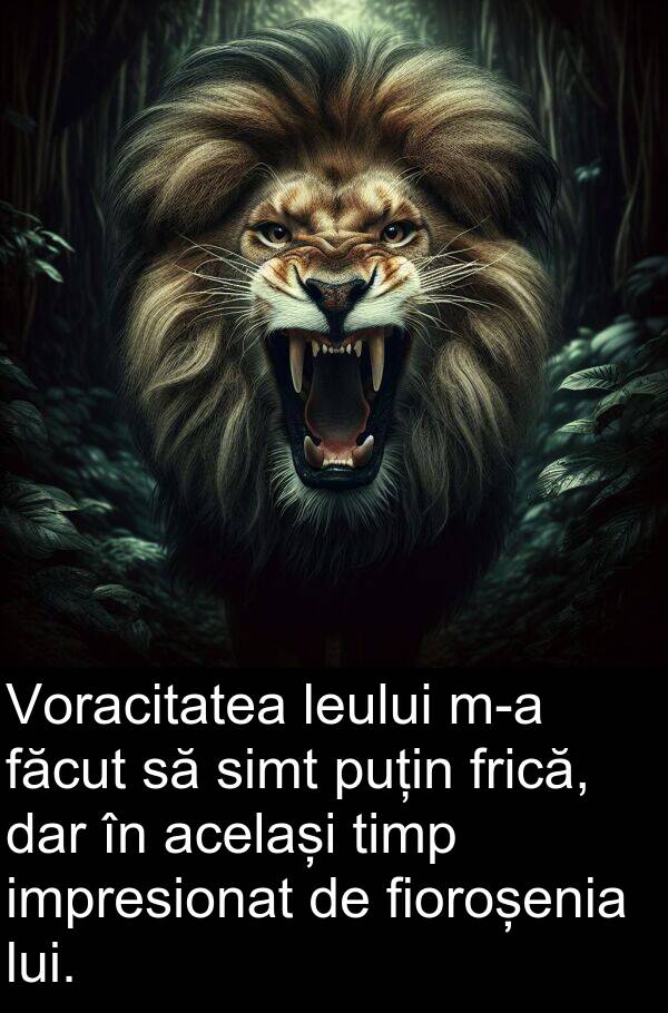 același: Voracitatea leului m-a făcut să simt puțin frică, dar în același timp impresionat de fioroșenia lui.