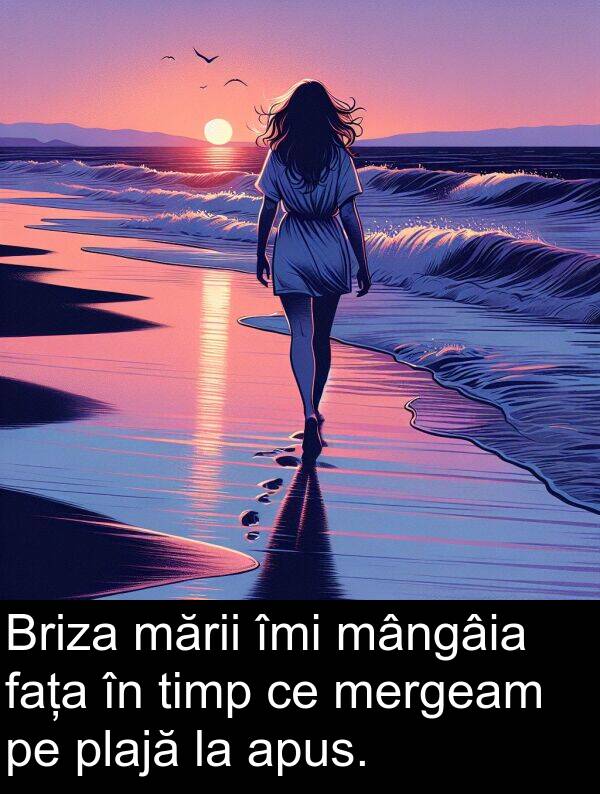 îmi: Briza mării îmi mângâia fața în timp ce mergeam pe plajă la apus.