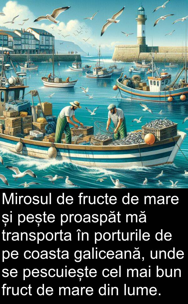galiceană: Mirosul de fructe de mare și pește proaspăt mă transporta în porturile de pe coasta galiceană, unde se pescuiește cel mai bun fruct de mare din lume.