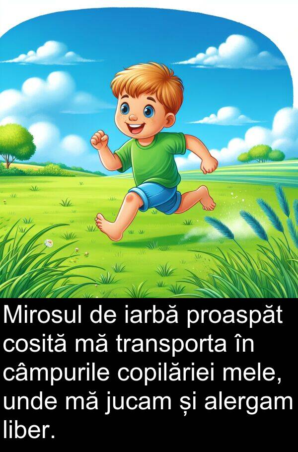 jucam: Mirosul de iarbă proaspăt cosită mă transporta în câmpurile copilăriei mele, unde mă jucam și alergam liber.