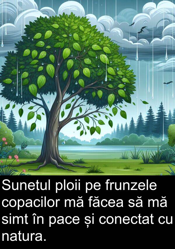 făcea: Sunetul ploii pe frunzele copacilor mă făcea să mă simt în pace și conectat cu natura.