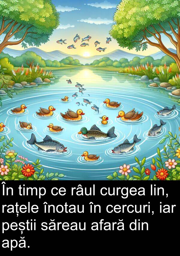 săreau: În timp ce râul curgea lin, rațele înotau în cercuri, iar peștii săreau afară din apă.