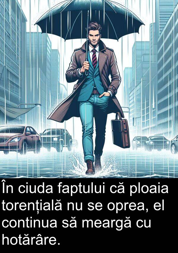 hotărâre: În ciuda faptului că ploaia torențială nu se oprea, el continua să meargă cu hotărâre.
