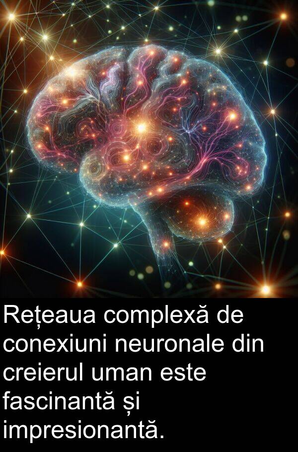 uman: Rețeaua complexă de conexiuni neuronale din creierul uman este fascinantă și impresionantă.
