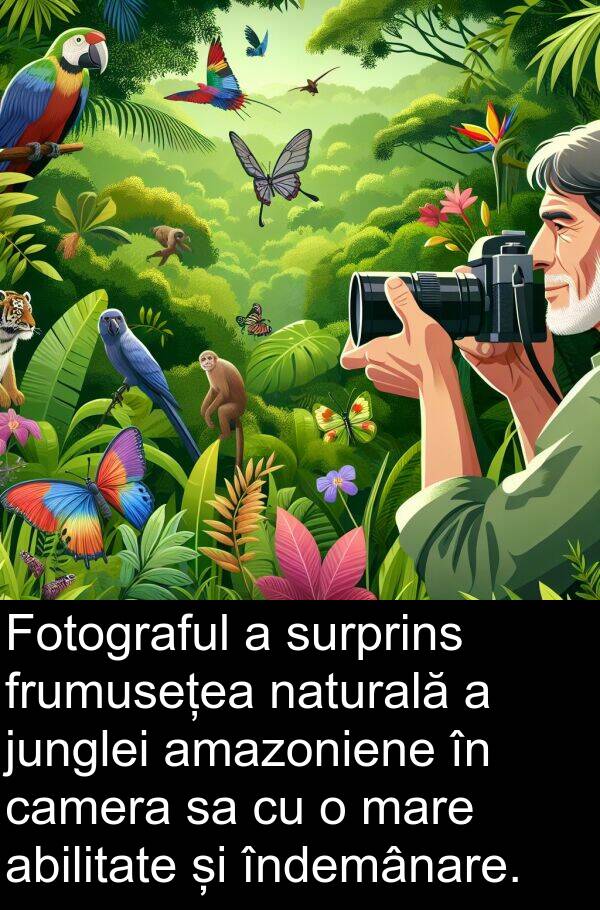 junglei: Fotograful a surprins frumusețea naturală a junglei amazoniene în camera sa cu o mare abilitate și îndemânare.