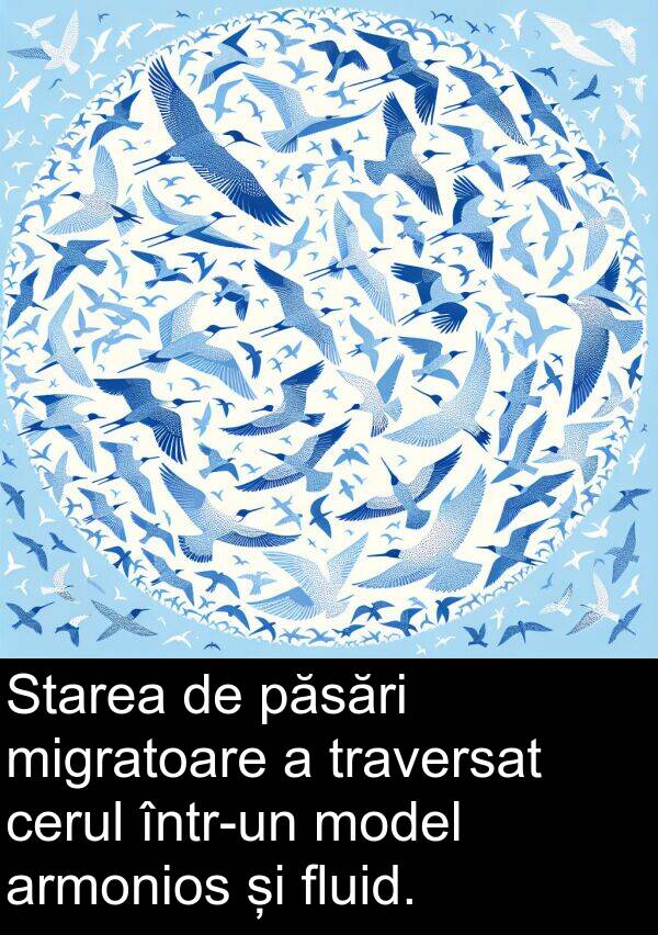 fluid: Starea de păsări migratoare a traversat cerul într-un model armonios și fluid.