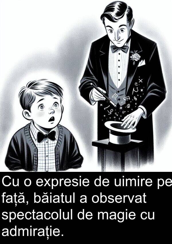 observat: Cu o expresie de uimire pe față, băiatul a observat spectacolul de magie cu admirație.