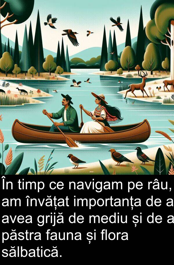 navigam: În timp ce navigam pe râu, am învățat importanța de a avea grijă de mediu și de a păstra fauna și flora sălbatică.