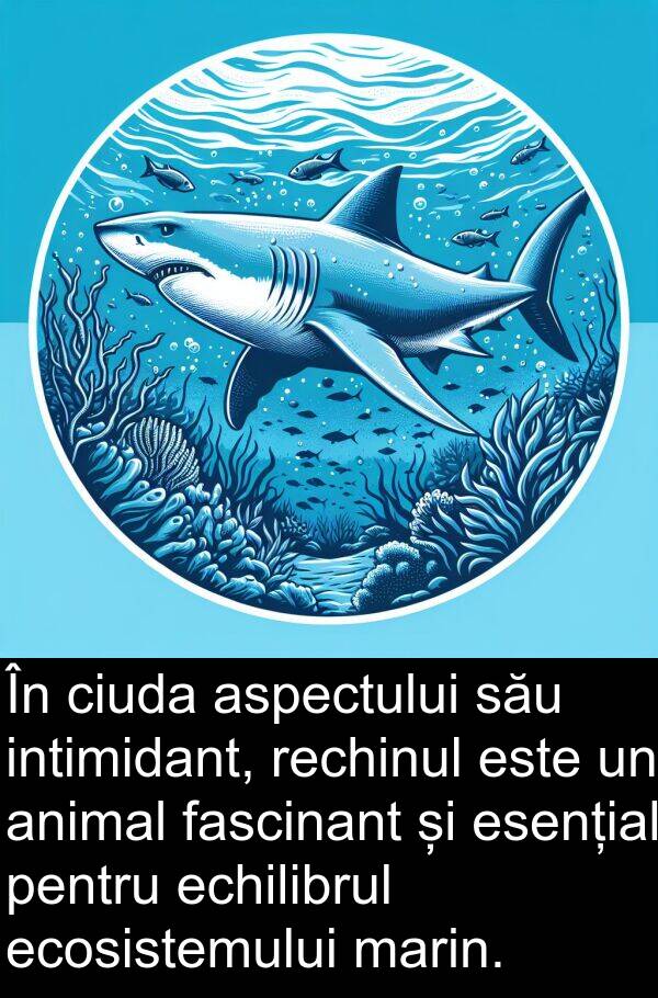 echilibrul: În ciuda aspectului său intimidant, rechinul este un animal fascinant și esențial pentru echilibrul ecosistemului marin.
