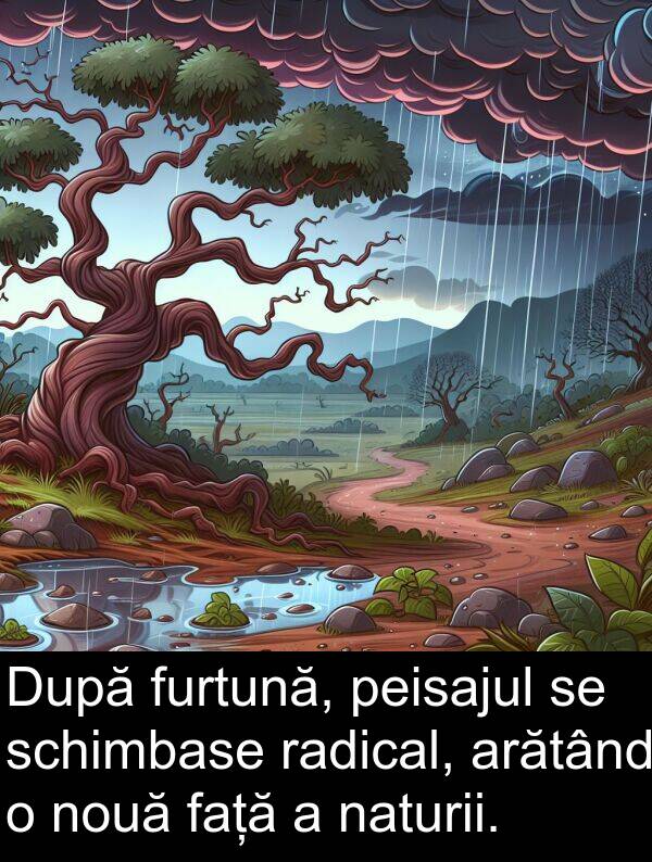 naturii: După furtună, peisajul se schimbase radical, arătând o nouă față a naturii.