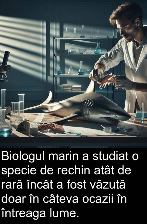 văzută: Biologul marin a studiat o specie de rechin atât de rară încât a fost văzută doar în câteva ocazii în întreaga lume.