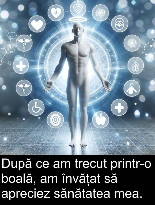 sănătatea: După ce am trecut printr-o boală, am învățat să apreciez sănătatea mea.