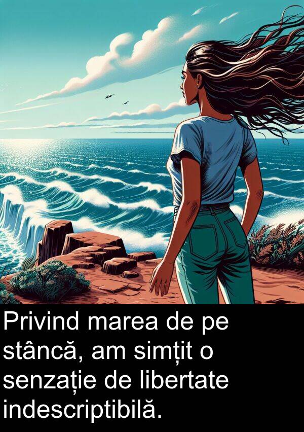 marea: Privind marea de pe stâncă, am simțit o senzație de libertate indescriptibilă.