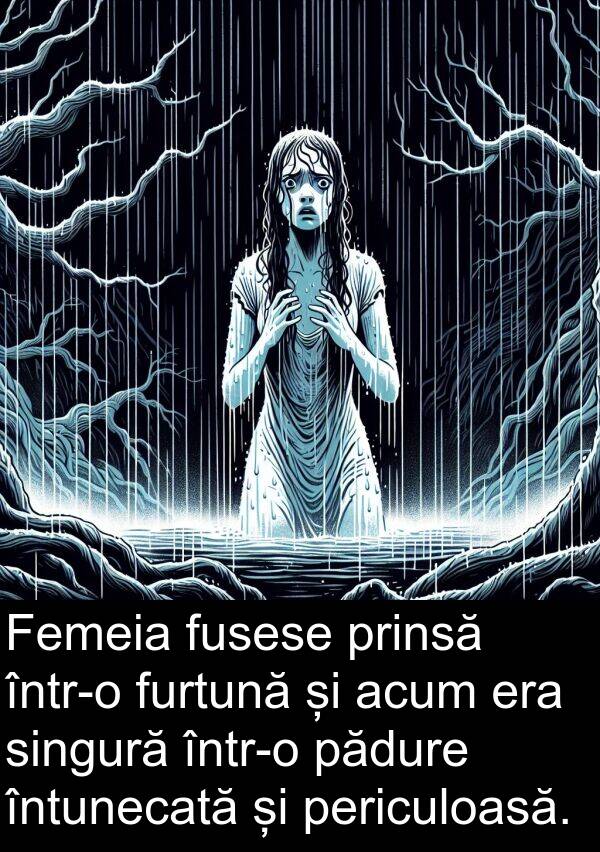 furtună: Femeia fusese prinsă într-o furtună și acum era singură într-o pădure întunecată și periculoasă.