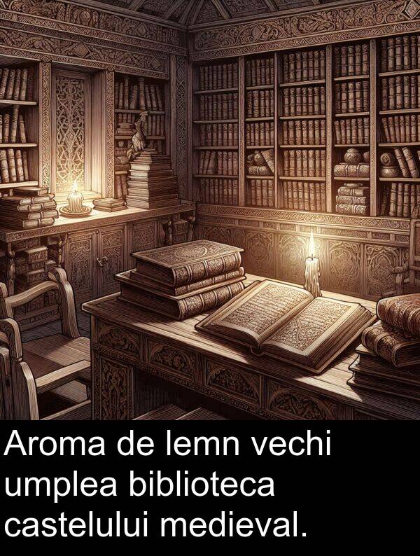 vechi: Aroma de lemn vechi umplea biblioteca castelului medieval.