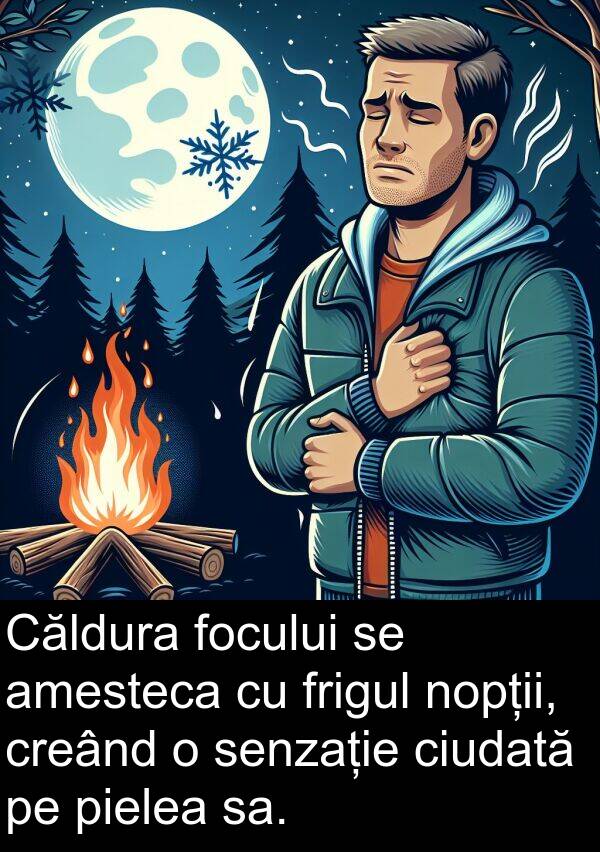 frigul: Căldura focului se amesteca cu frigul nopții, creând o senzație ciudată pe pielea sa.