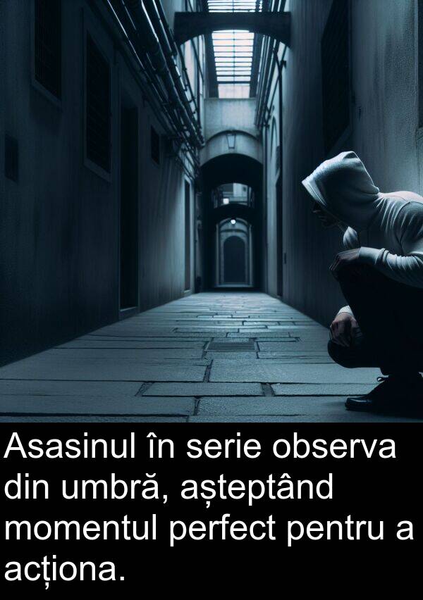 umbră: Asasinul în serie observa din umbră, așteptând momentul perfect pentru a acționa.