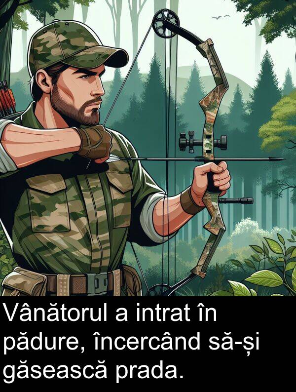 găsească: Vânătorul a intrat în pădure, încercând să-și găsească prada.