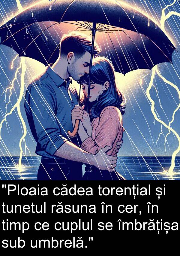 umbrelă: "Ploaia cădea torențial și tunetul răsuna în cer, în timp ce cuplul se îmbrățișa sub umbrelă."