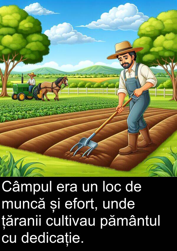 efort: Câmpul era un loc de muncă și efort, unde țăranii cultivau pământul cu dedicație.
