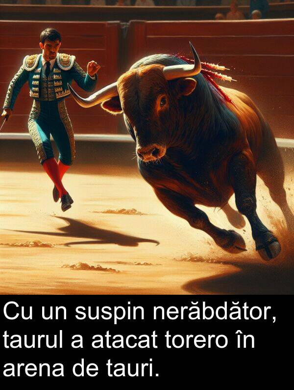 tauri: Cu un suspin nerăbdător, taurul a atacat torero în arena de tauri.