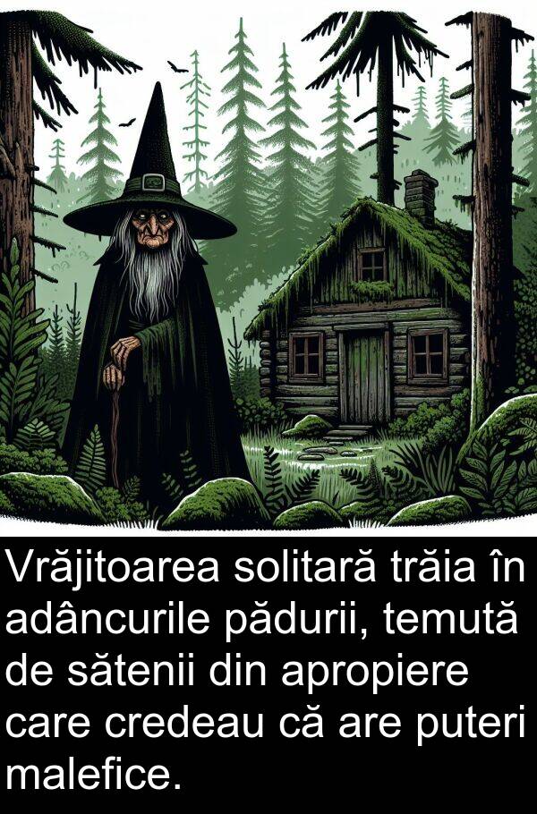pădurii: Vrăjitoarea solitară trăia în adâncurile pădurii, temută de sătenii din apropiere care credeau că are puteri malefice.