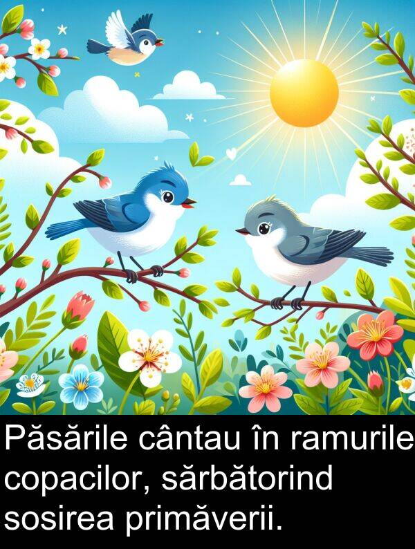sărbătorind: Păsările cântau în ramurile copacilor, sărbătorind sosirea primăverii.
