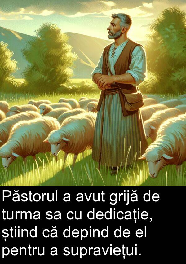 știind: Păstorul a avut grijă de turma sa cu dedicație, știind că depind de el pentru a supraviețui.