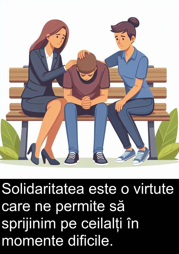 ceilalți: Solidaritatea este o virtute care ne permite să sprijinim pe ceilalți în momente dificile.
