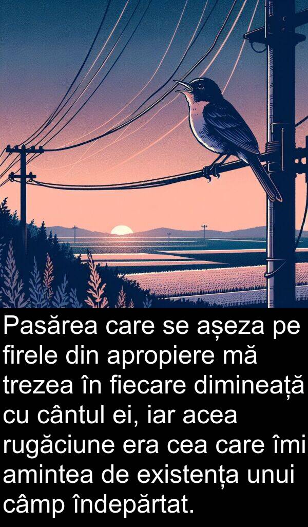 acea: Pasărea care se așeza pe firele din apropiere mă trezea în fiecare dimineață cu cântul ei, iar acea rugăciune era cea care îmi amintea de existența unui câmp îndepărtat.