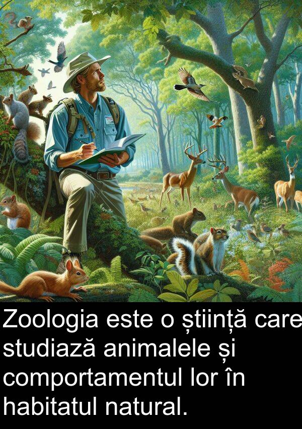 știință: Zoologia este o știință care studiază animalele și comportamentul lor în habitatul natural.