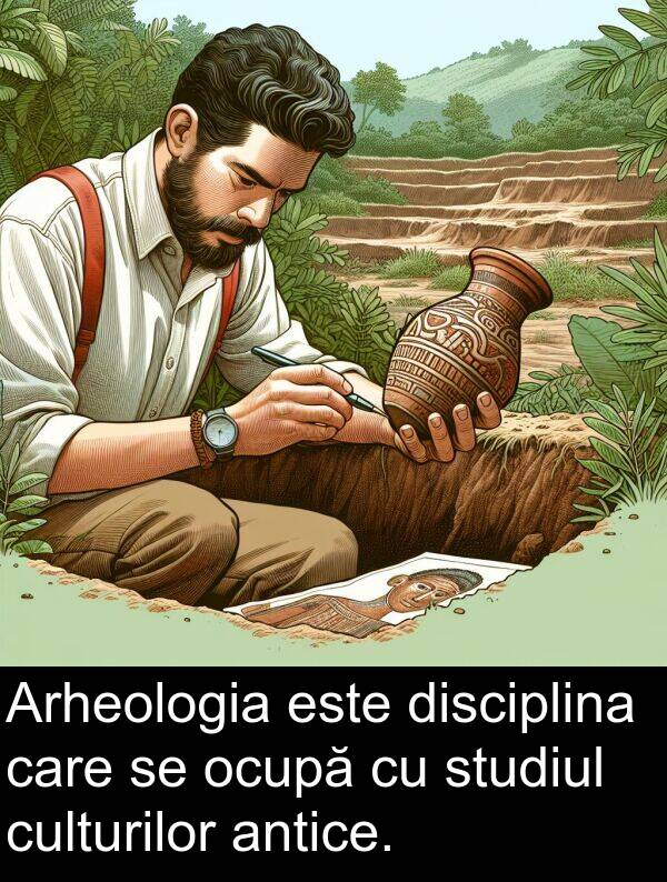 disciplina: Arheologia este disciplina care se ocupă cu studiul culturilor antice.