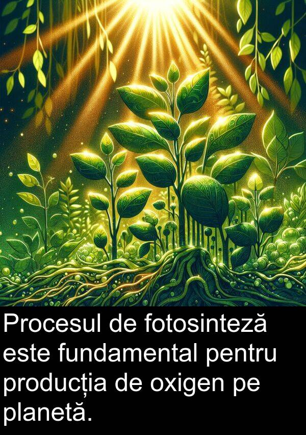 fundamental: Procesul de fotosinteză este fundamental pentru producția de oxigen pe planetă.