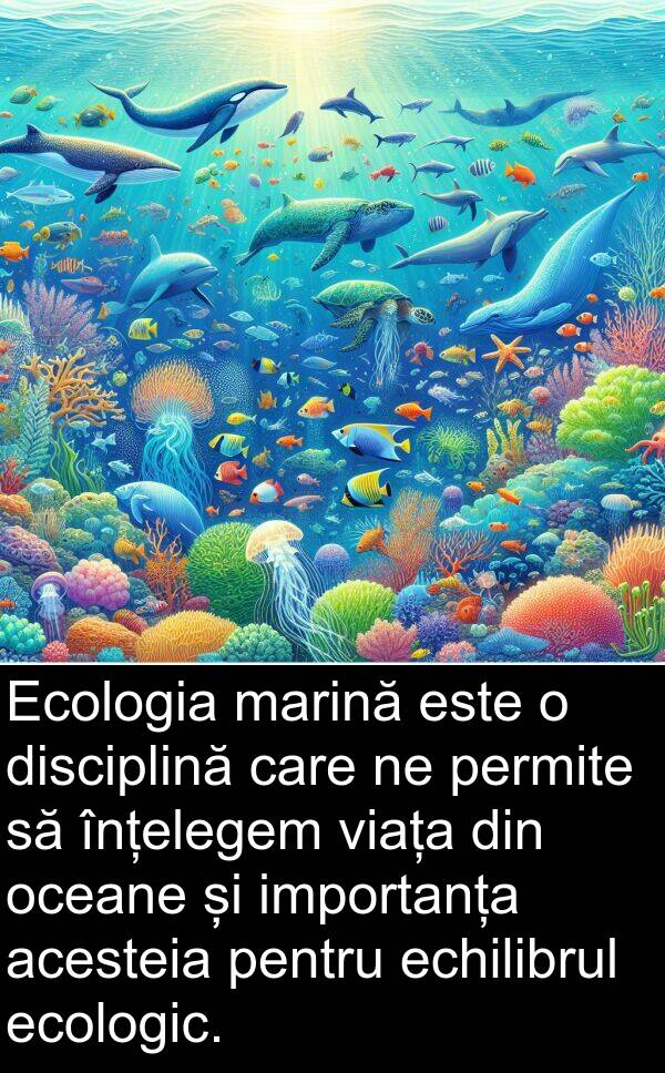 oceane: Ecologia marină este o disciplină care ne permite să înțelegem viața din oceane și importanța acesteia pentru echilibrul ecologic.